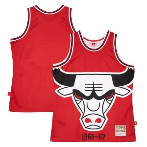 Chicago Bulls Hardwood Classics Blown Out Fabulous Fashion Jersey Red