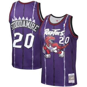 Damon Stoudamire Toronto Raptors 1995/96 Hardwood Classics Swingman Unique Jersey Purple