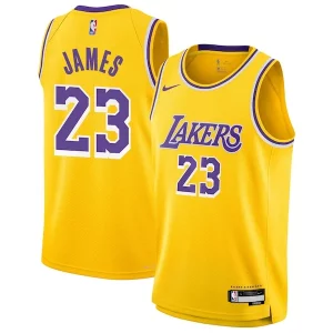 LeBron James Los Angeles Lakers Nike Youth Premium Swingman Jersey Icon Edition Gold
